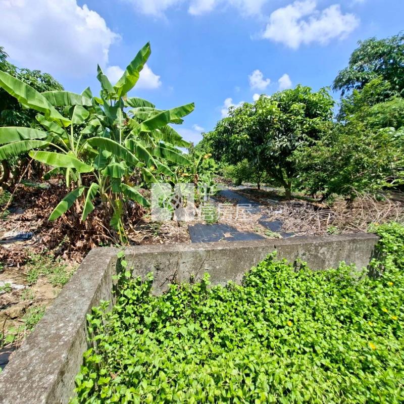 龍潭農地房屋室內格局與周邊環境