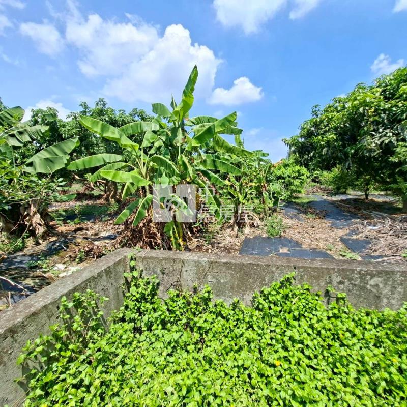 龍潭農地房屋室內格局與周邊環境