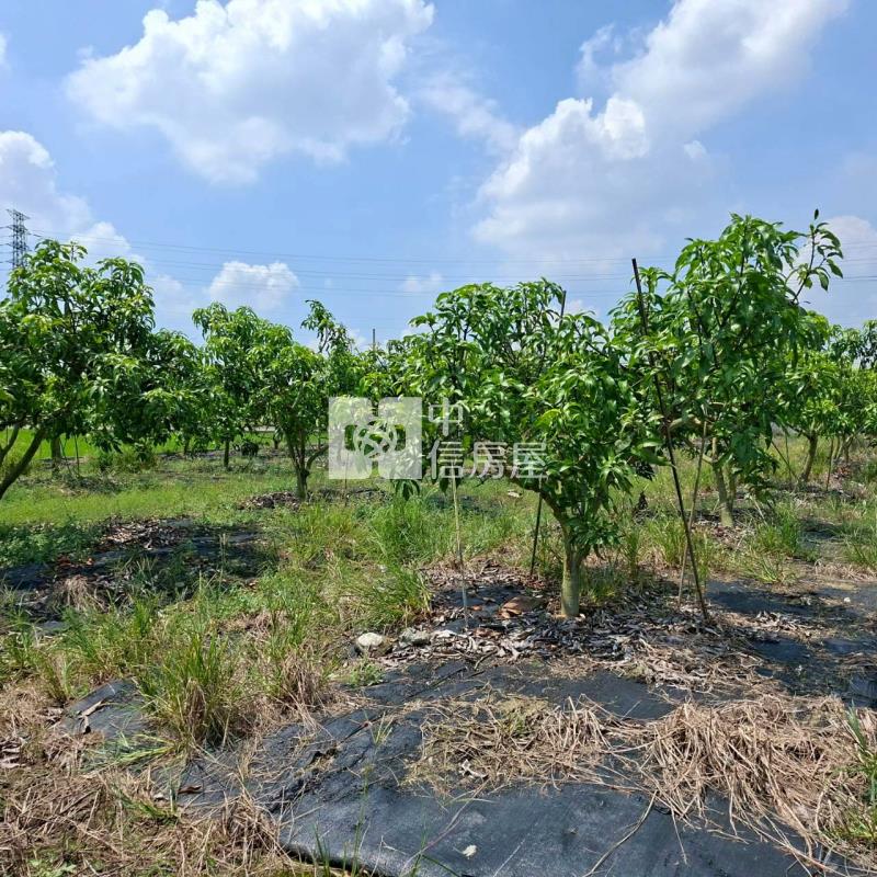 龍潭農地房屋室內格局與周邊環境