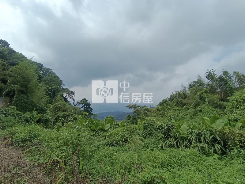 苗栗大湖景觀果園房屋室內格局與周邊環境