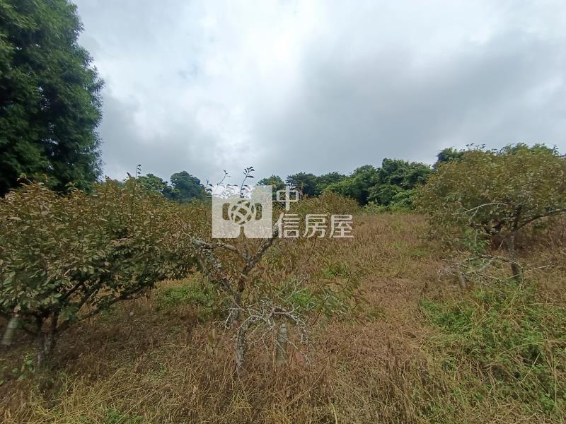 苗栗大湖景觀果園房屋室內格局與周邊環境