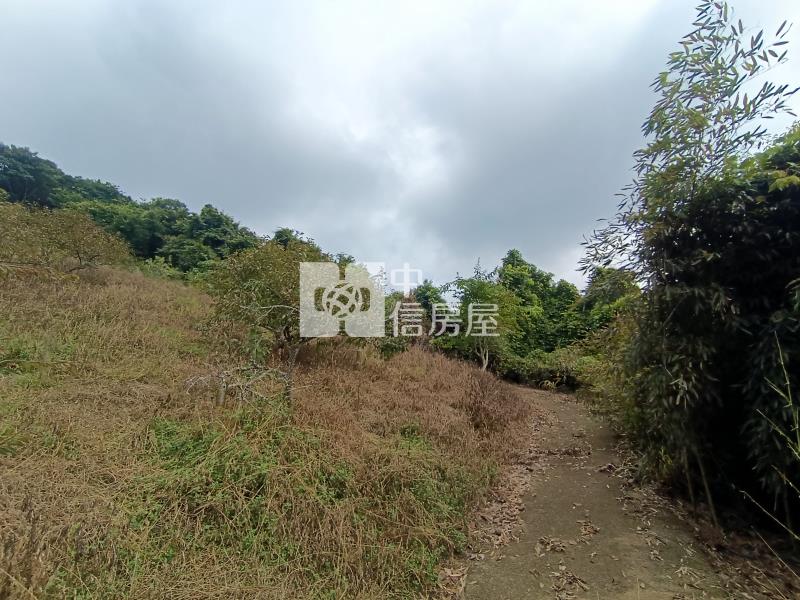苗栗大湖景觀果園房屋室內格局與周邊環境
