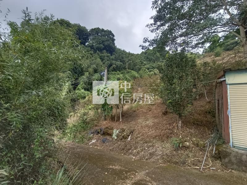 苗栗大湖景觀果園房屋室內格局與周邊環境