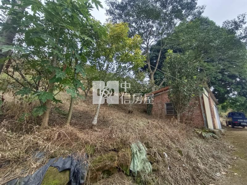 苗栗大湖景觀果園房屋室內格局與周邊環境