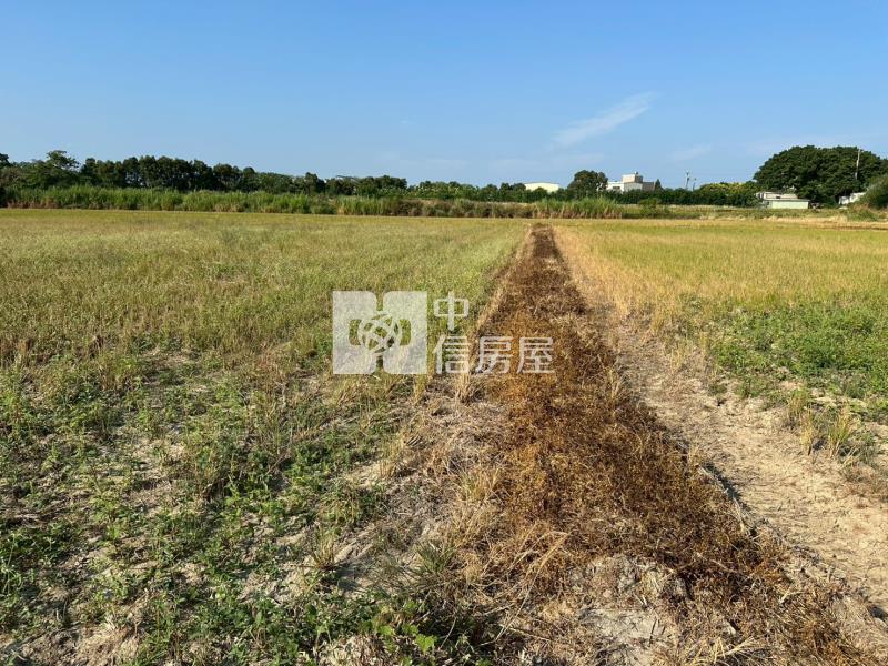 楊梅民有路大坪數低價農地房屋室內格局與周邊環境