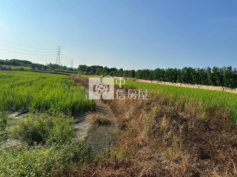 楊梅民有路大坪數低價農地房屋室內格局與周邊環境
