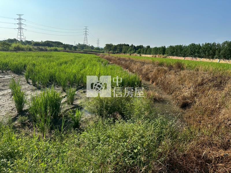 楊梅民有路大坪數低價農地房屋室內格局與周邊環境