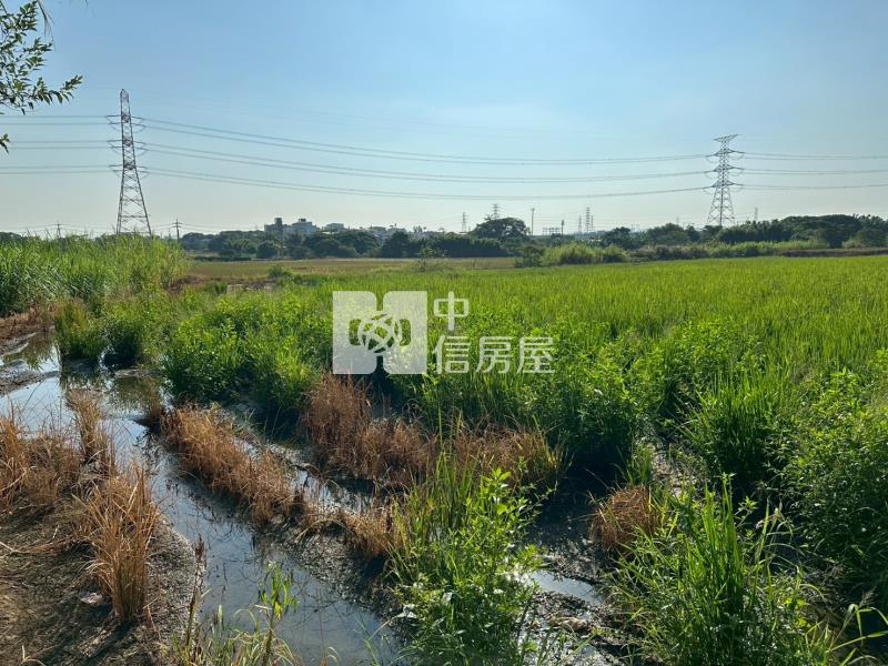 楊梅民有路大坪數低價農地房屋室內格局與周邊環境