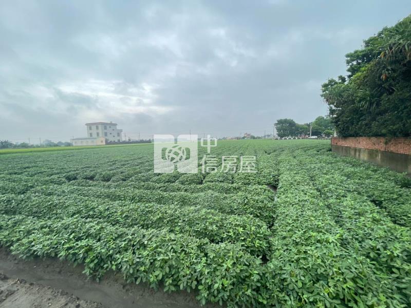 雲林元長大坪數農地★有水有電★房屋室內格局與周邊環境