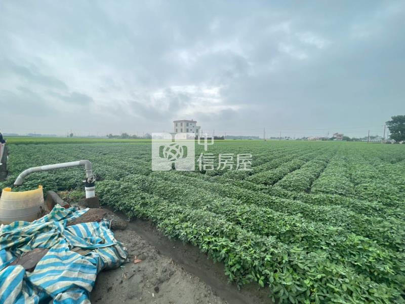 雲林元長大坪數農地★有水有電★房屋室內格局與周邊環境