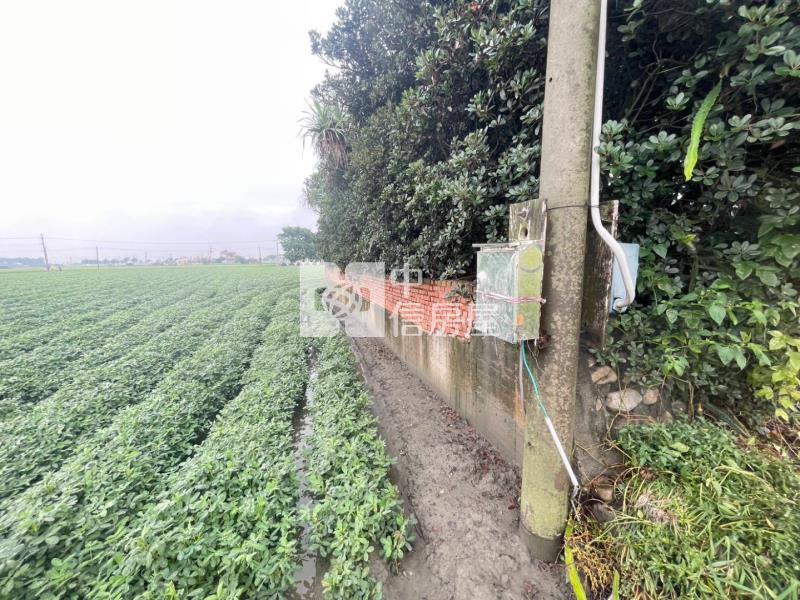 雲林元長大坪數農地★有水有電★房屋室內格局與周邊環境