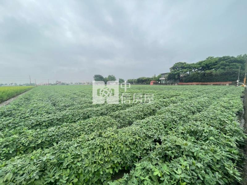 雲林元長大坪數農地★有水有電★房屋室內格局與周邊環境