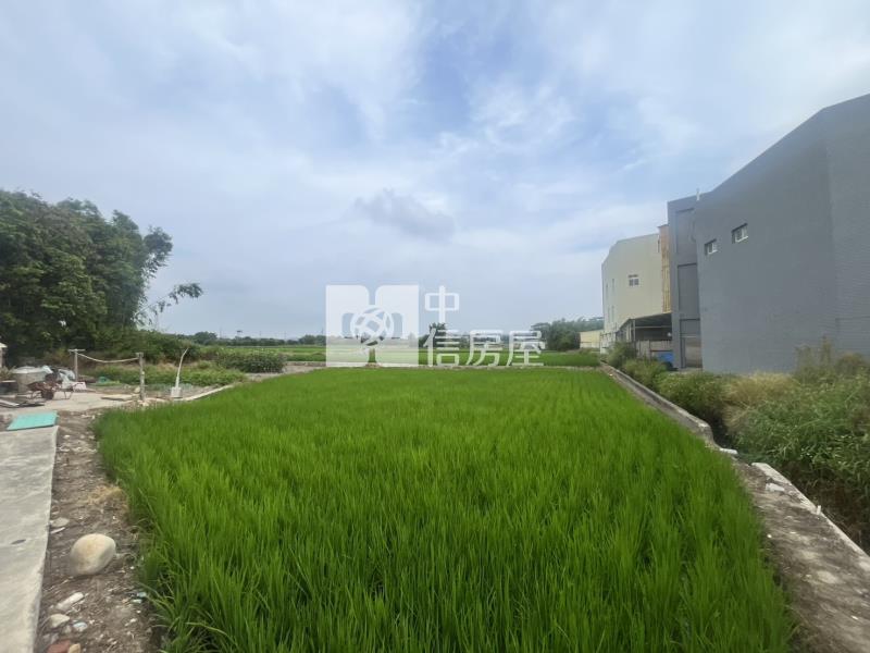 新竹湖口6144坪平整工業地房屋室內格局與周邊環境