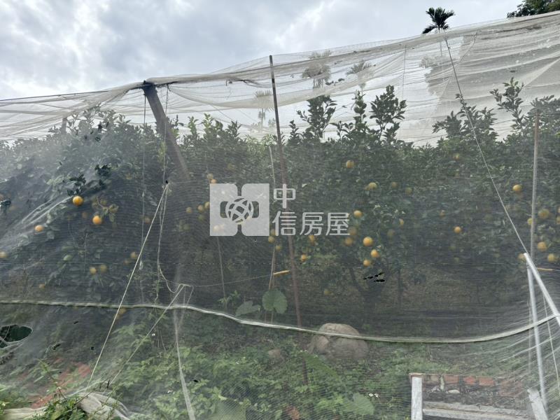 新社買千坪果園+建地送觀景美屋房屋室內格局與周邊環境