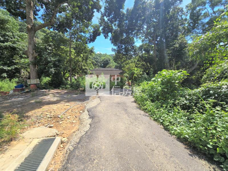 大坑東山路大昌段農地房屋室內格局與周邊環境
