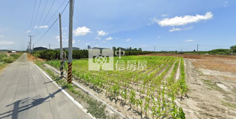 台西大面積工業用地房屋室內格局與周邊環境