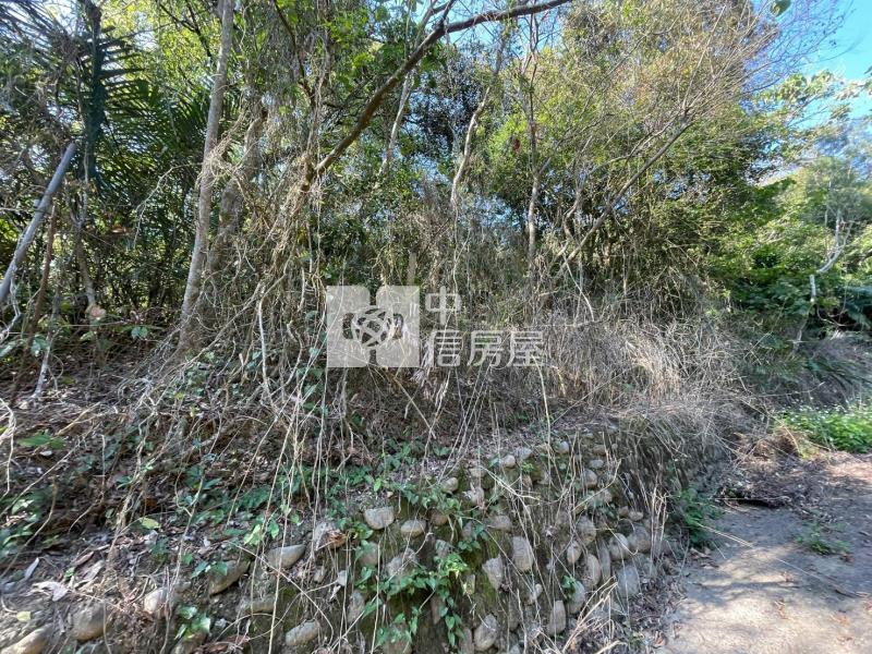 彰化莿桐交流道旁持分建地+農地房屋室內格局與周邊環境
