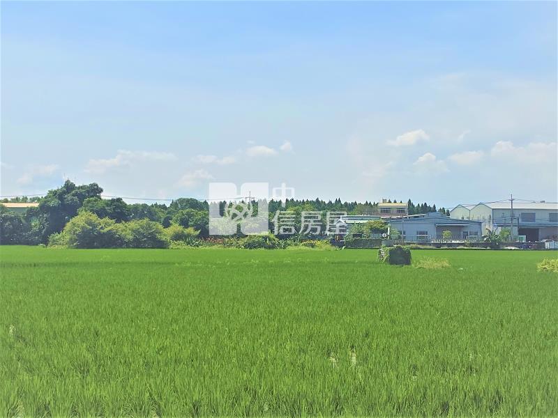 大里夏田產業園區6米路農地房屋室內格局與周邊環境