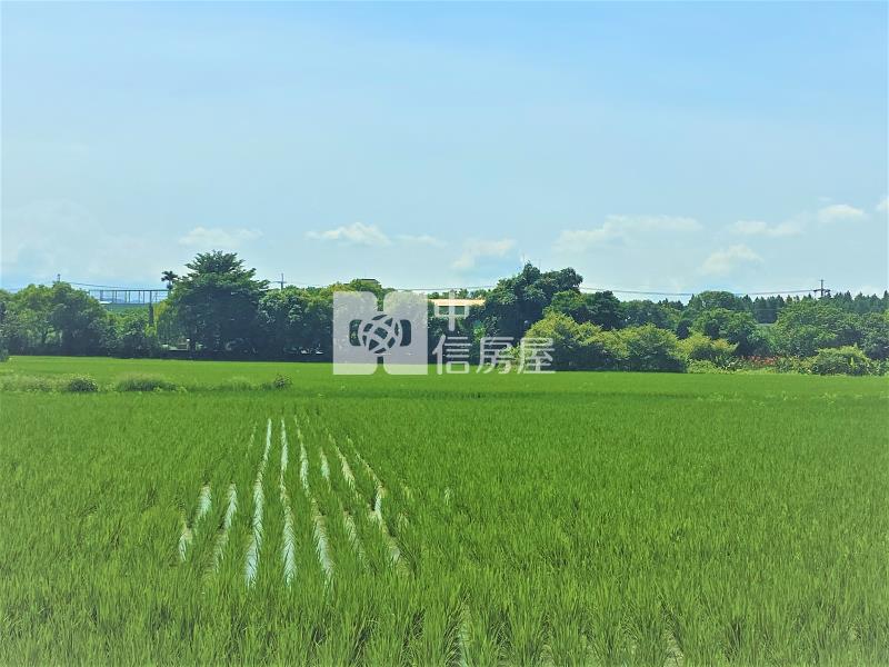 大里夏田產業園區6米路農地房屋室內格局與周邊環境