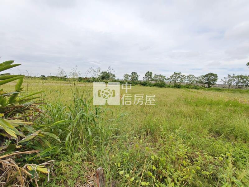 (專)安定國中徵收農地房屋室內格局與周邊環境