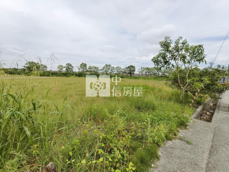 (專)安定國中徵收農地房屋室內格局與周邊環境