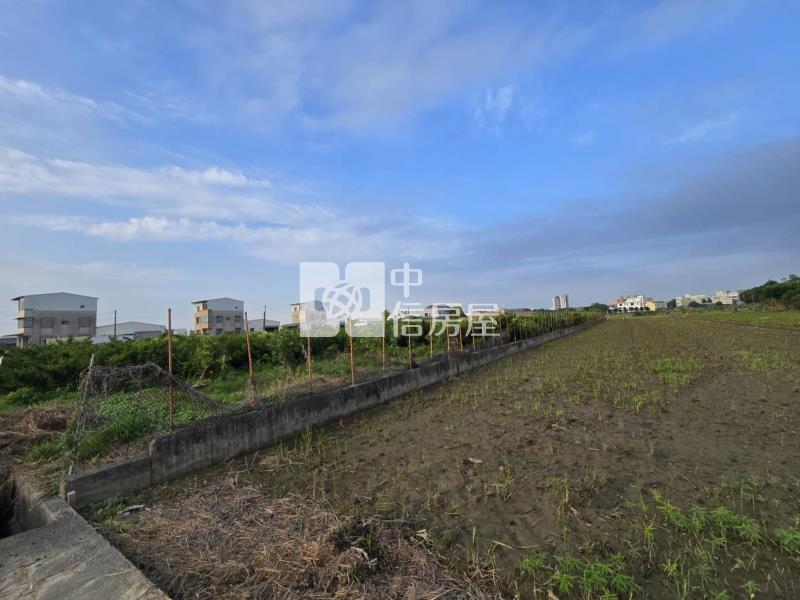 新化區-近千顆真柏高增值漂亮稀缺農地房屋室內格局與周邊環境