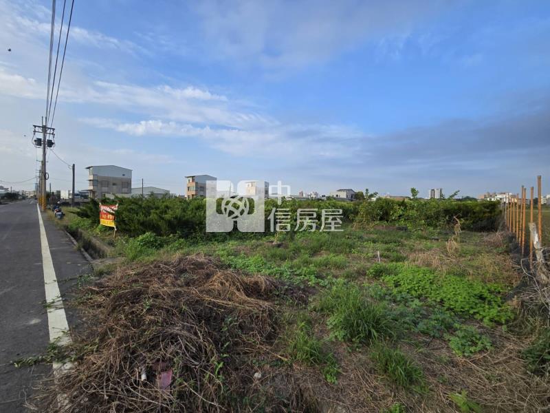 新化區-近千顆真柏高增值漂亮稀缺農地房屋室內格局與周邊環境