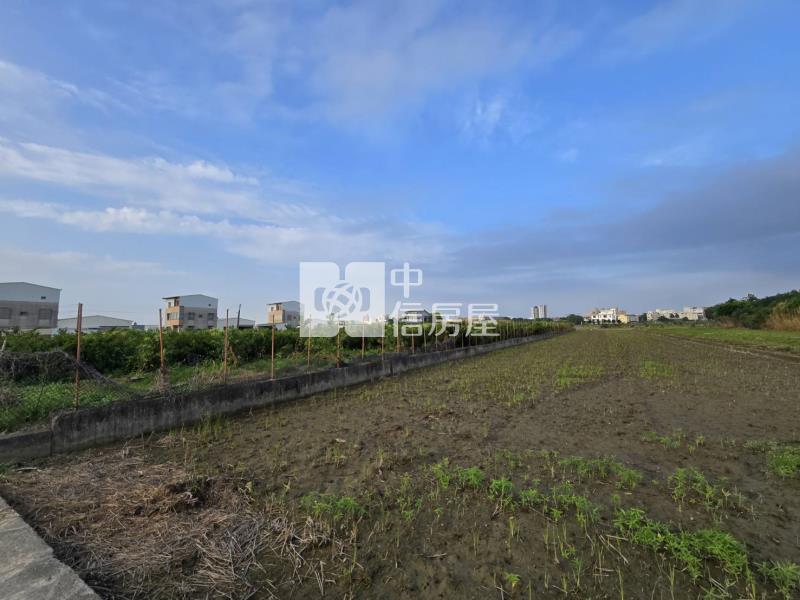 新化區-近千顆真柏高增值漂亮稀缺農地房屋室內格局與周邊環境