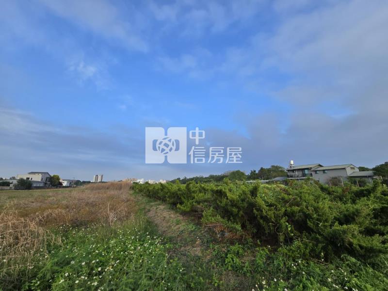 新化區-近千顆真柏高增值漂亮稀缺農地房屋室內格局與周邊環境
