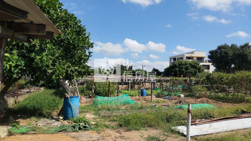 專任｜中壢民權路A20農地房屋室內格局與周邊環境