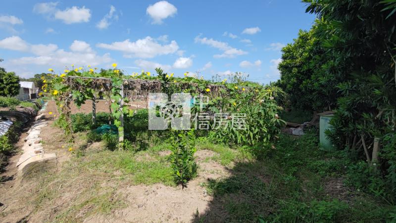專任｜中壢民權路A20農地房屋室內格局與周邊環境