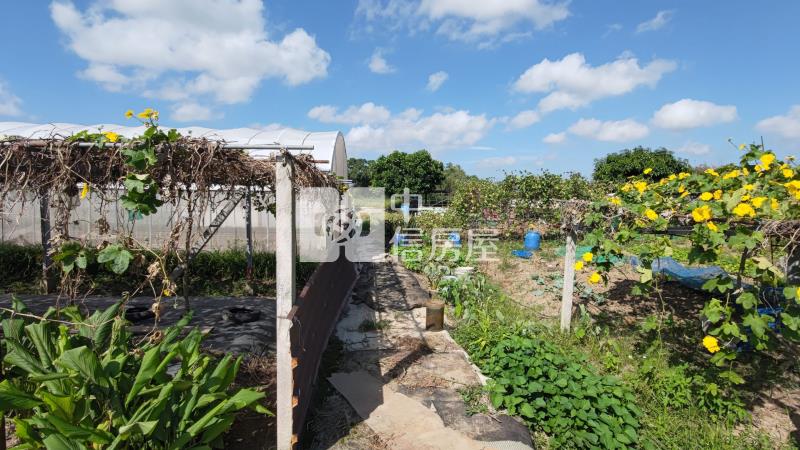 專任｜中壢民權路A20農地房屋室內格局與周邊環境