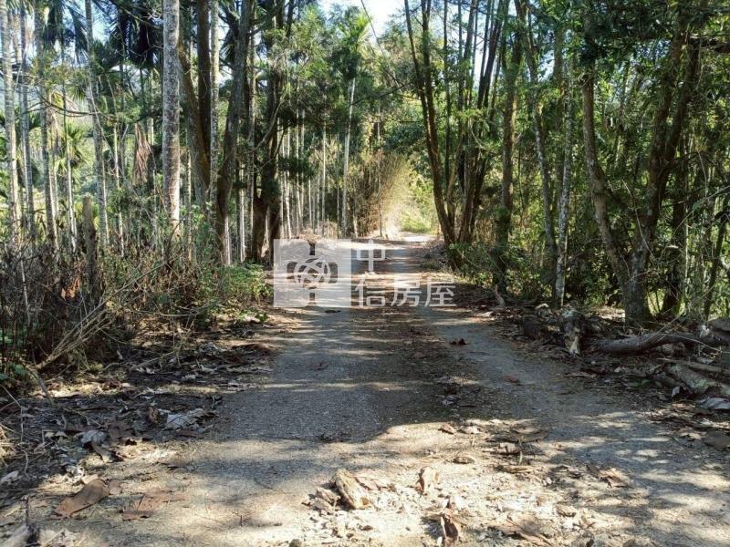 日月潭旁農地房屋室內格局與周邊環境