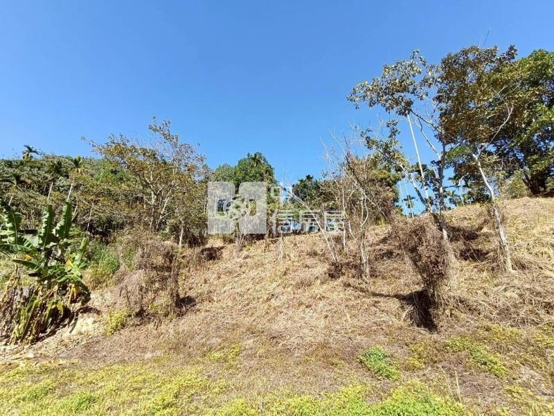 日月潭旁農地房屋室內格局與周邊環境