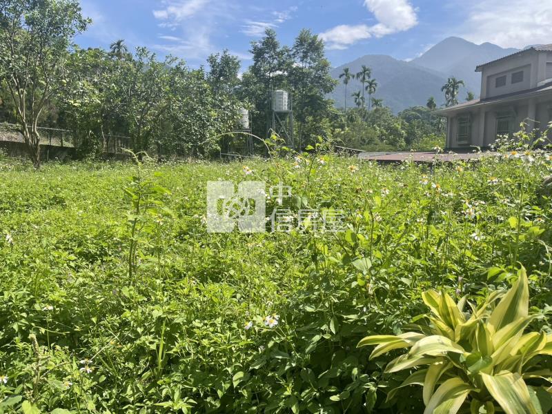 福興面寬田房屋室內格局與周邊環境