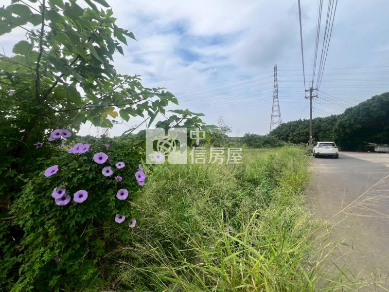 【安家】觀音近66新坡美農地房屋室內格局與周邊環境