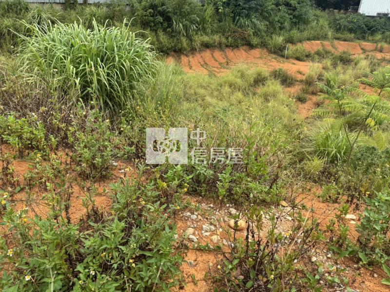 幼獅工業區10米路丁工房屋室內格局與周邊環境