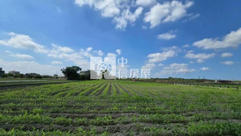 彰化臺山段2.6分三角窗農地房屋室內格局與周邊環境