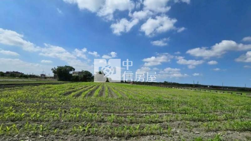 彰化臺山段2.6分三角窗農地房屋室內格局與周邊環境
