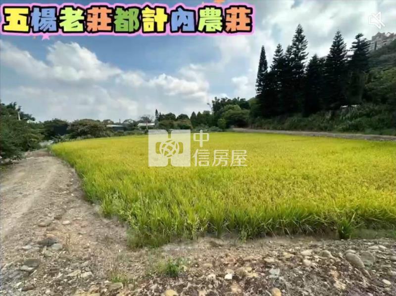 楊梅五楊老莊都內農場房屋室內格局與周邊環境