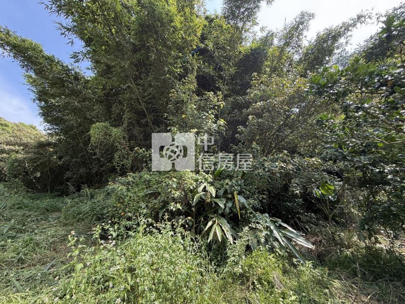 龍潭便宜山坡地房屋室內格局與周邊環境