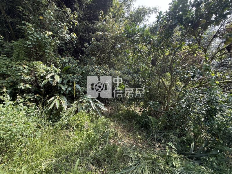 龍潭便宜山坡地房屋室內格局與周邊環境