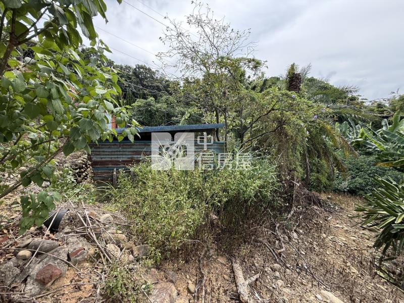 龍潭便宜山坡地房屋室內格局與周邊環境