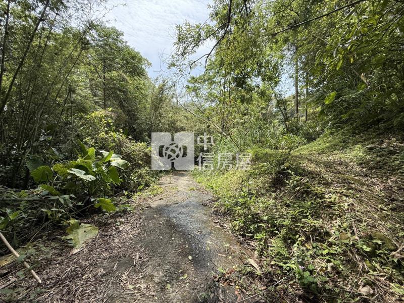 龍潭便宜山坡地房屋室內格局與周邊環境