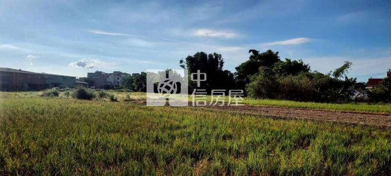 中大一路都內農房屋室內格局與周邊環境
