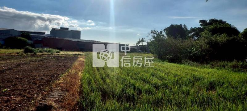中大一路都內農房屋室內格局與周邊環境