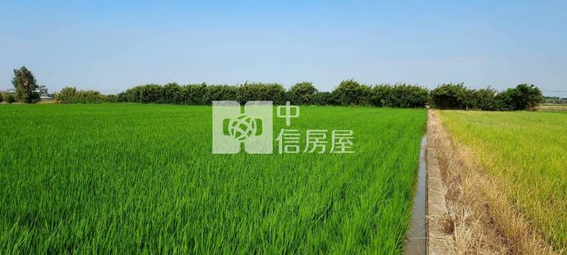 新屋望間二路旁美農地房屋室內格局與周邊環境