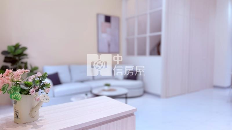中埔君臨別墅  ★影音空拍只在中信嘉義玉山店房屋室內格局與周邊環境