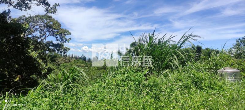 石門山休閒農地房屋室內格局與周邊環境