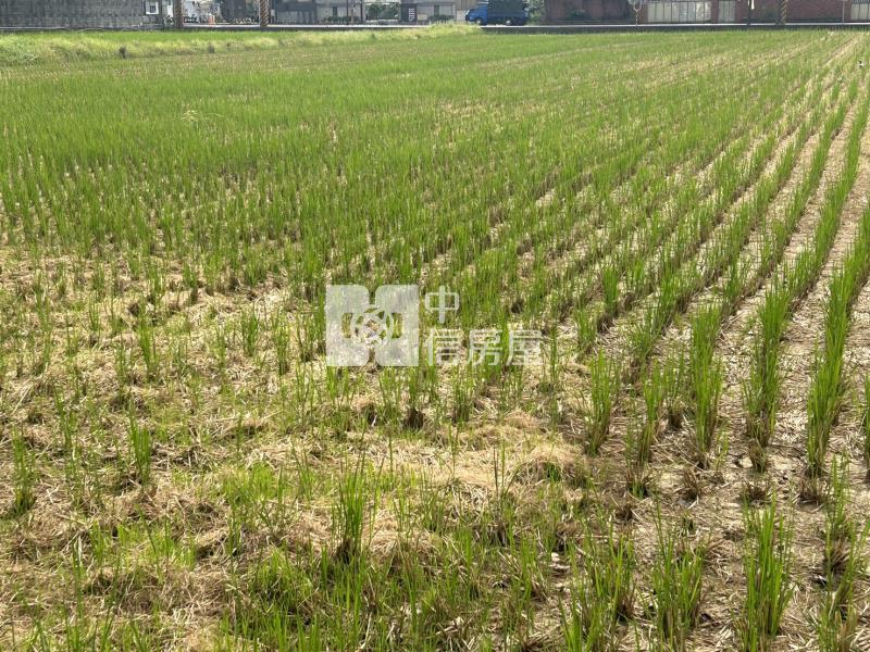 內壢段雙面臨路都內農房屋室內格局與周邊環境